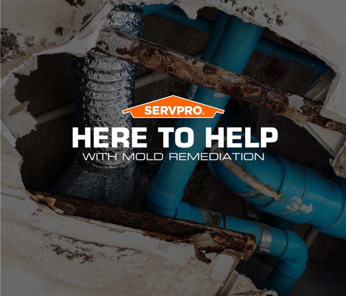 Image of exposed pipes in a mold infested ceiling with SERVPRO Here to Help with Mold Remediation 