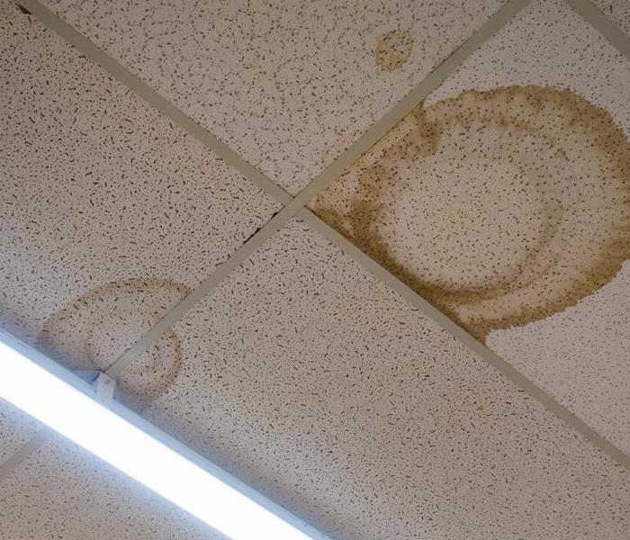 brown spots on ceiling tiles