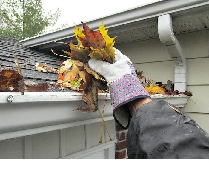 gutters filled with debris